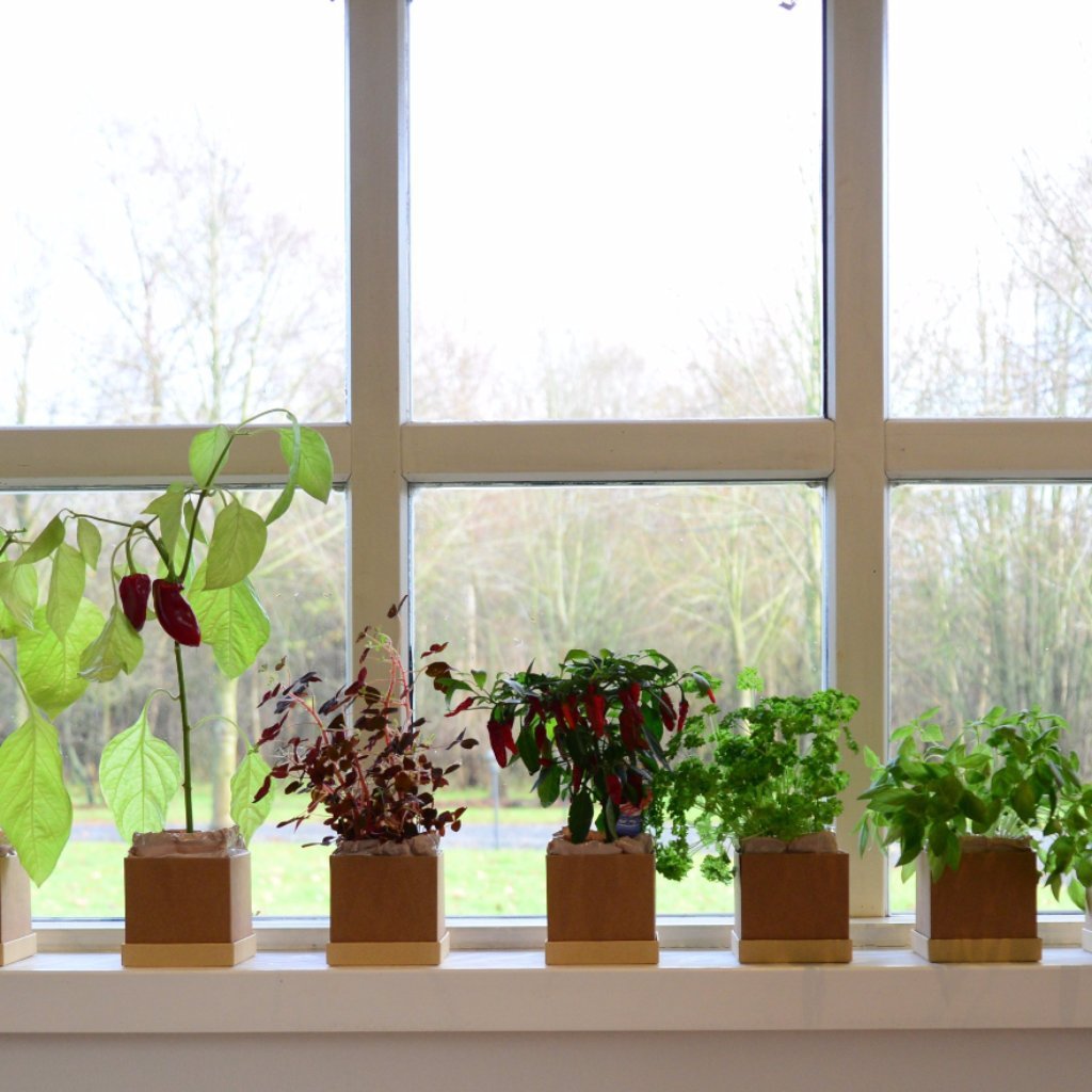 Plant Box subscription as GIFT