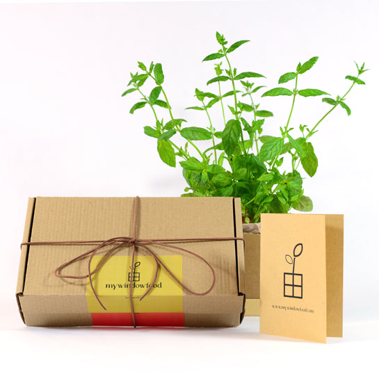 Plant Box gift wrapped with personal greeting card