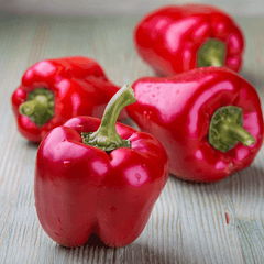 Red pepper Plant Box