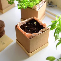 Plant Box: Monthly Subscription