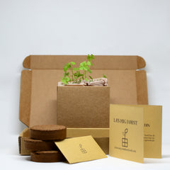 Plant Box: Monthly Subscription