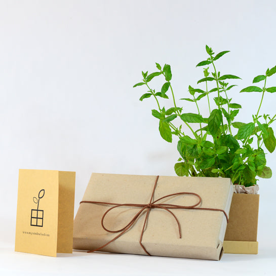 Plant Box subscription as GIFT