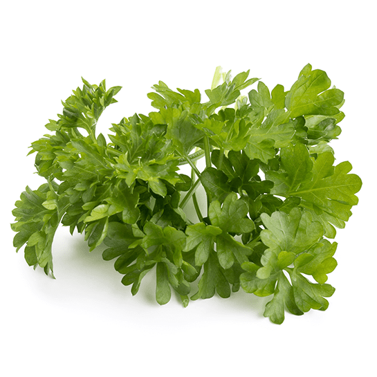 Parsley leaves by mywindowfood