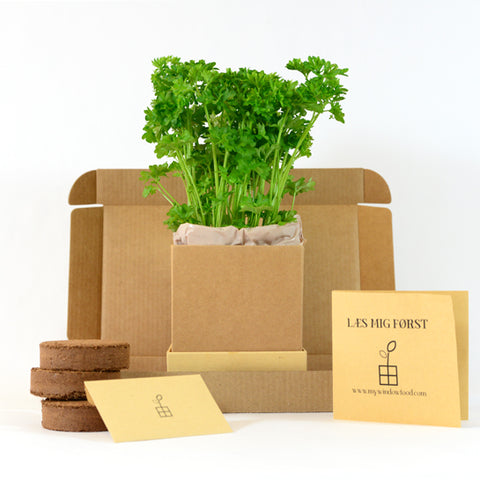 Parsley Plant Box content