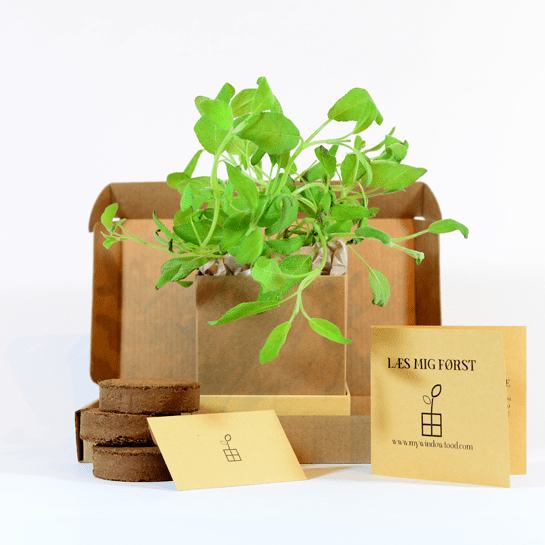 Sage Plant Box